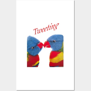 Rainbow Lorikeets :Tweeting Birds Posters and Art